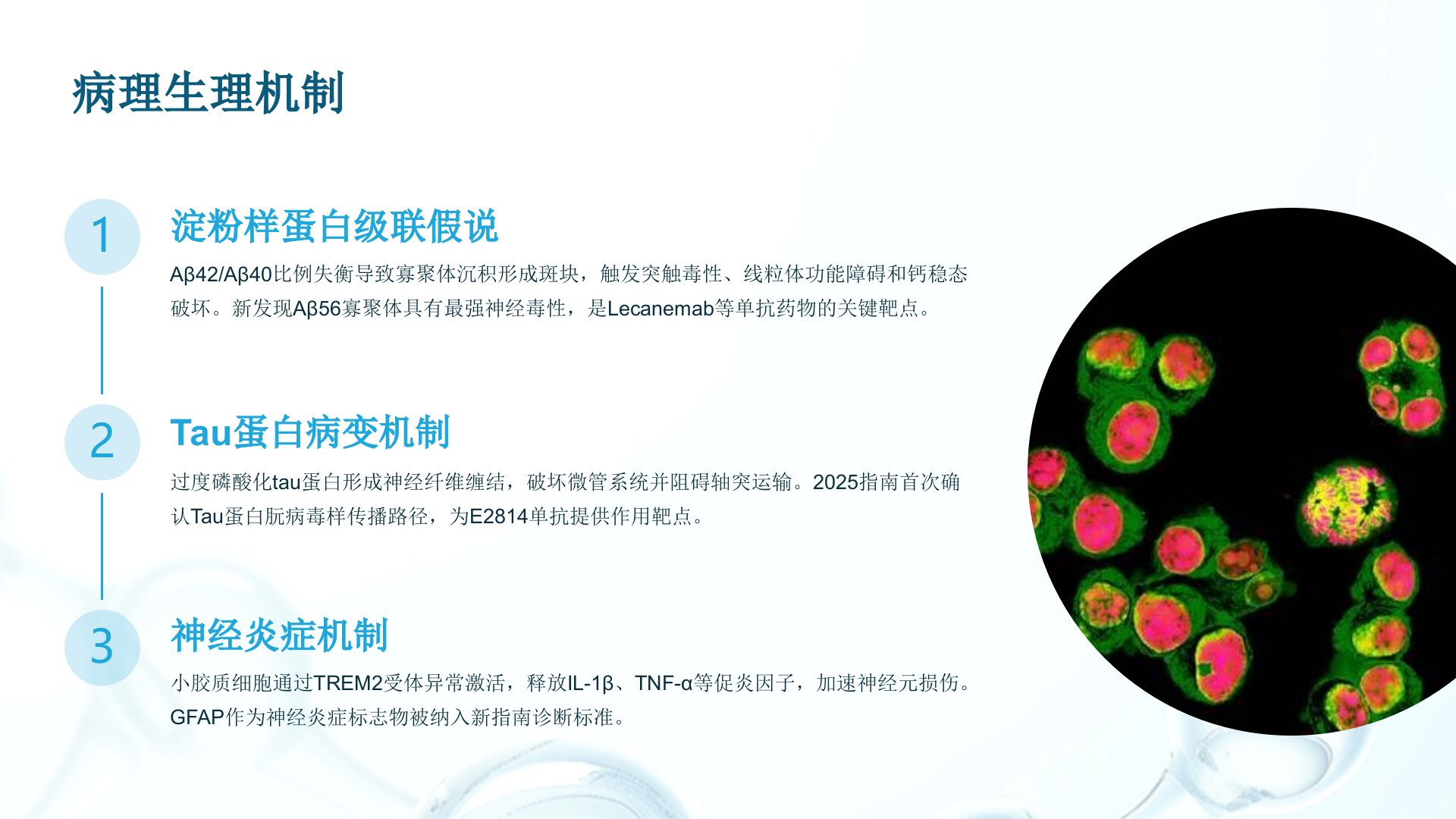 图片[5]-阿尔茨海默病药物治疗指南(2025)解读PPT课件-医护资料网