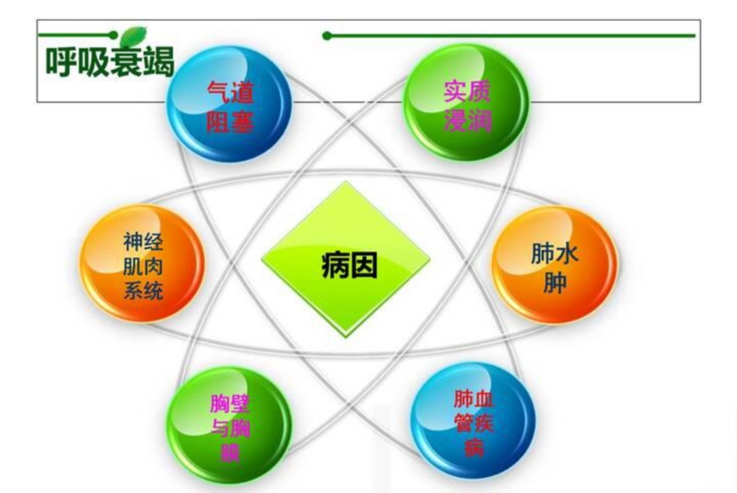 图片[3]-常见重症的病因病理生理(一)【18页】-医护资料网