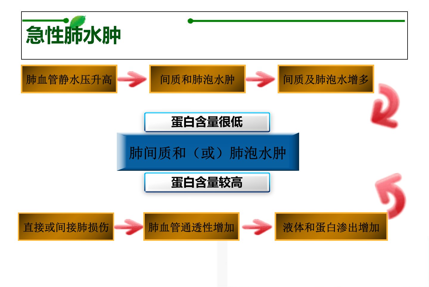 图片[7]-常见重症的病因病理生理(一)【18页】-医护资料网