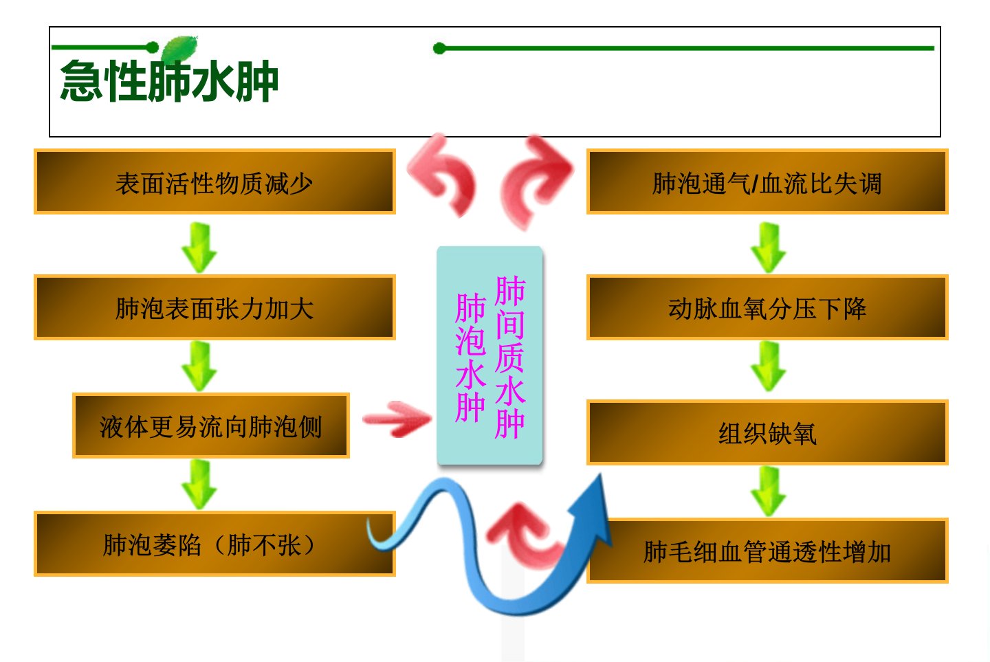 图片[8]-常见重症的病因病理生理(一)【18页】-医护资料网